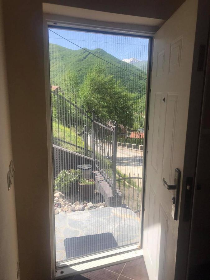 Mountain View *