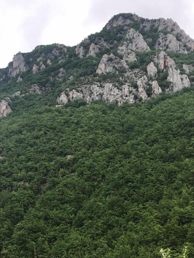 Mountain View Jance